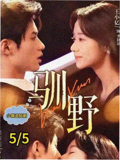 剧集-与凤行